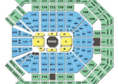 MGM Grand Garden Arena Boxing Chart View