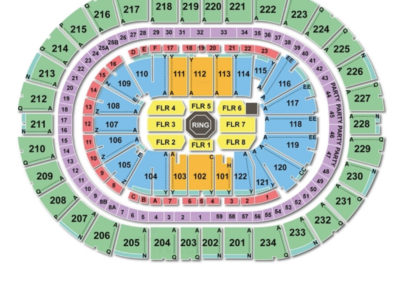 seating ppg arena paints chart