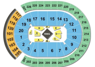 T-Mobile Arena Seating Chart Boxing