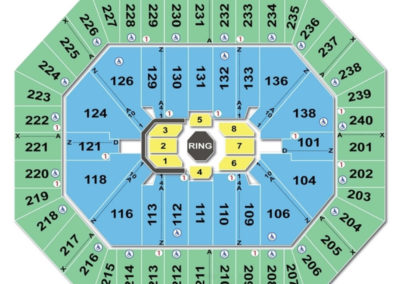 Target Center UFC Seating Chart