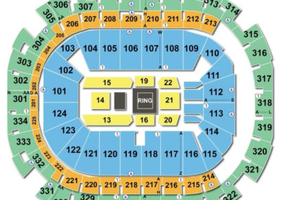 American Airlines Center Boxing Seating Chart