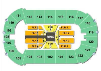State Farm Arena Seating Chart Wrestling